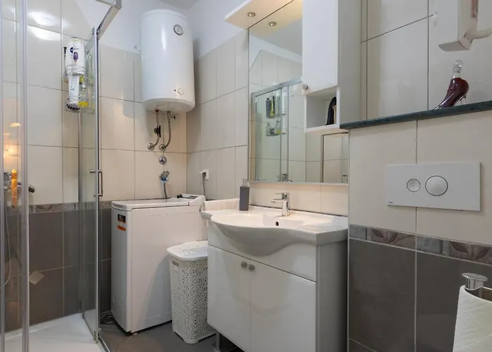 Apartment Zelic *